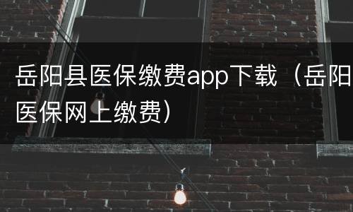 岳阳县医保缴费app下载（岳阳医保网上缴费）