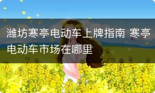 潍坊寒亭电动车上牌指南 寒亭电动车市场在哪里