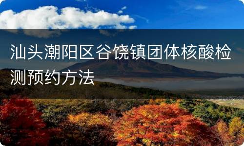 汕头潮阳区谷饶镇团体核酸检测预约方法