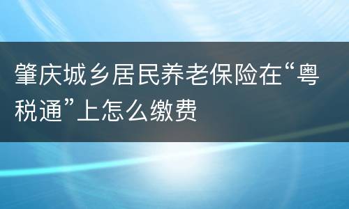肇庆城乡居民养老保险在“粤税通”上怎么缴费
