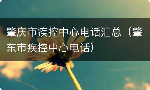 肇庆市疾控中心电话汇总（肇东市疾控中心电话）
