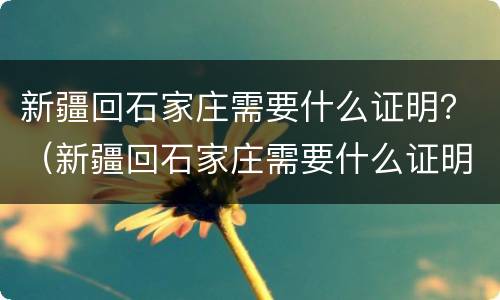 新疆回石家庄需要什么证明？（新疆回石家庄需要什么证明材料）