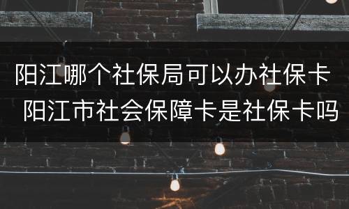 阳江哪个社保局可以办社保卡 阳江市社会保障卡是社保卡吗