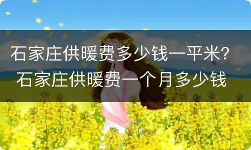 石家庄供暖费多少钱一平米？ 石家庄供暖费一个月多少钱