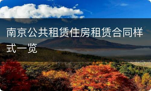 南京公共租赁住房租赁合同样式一览