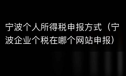 宁波个人所得税申报方式（宁波企业个税在哪个网站申报）