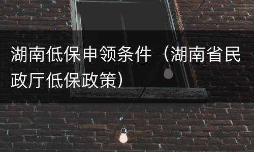 湖南低保申领条件（湖南省民政厅低保政策）