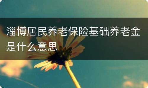 淄博居民养老保险基础养老金是什么意思