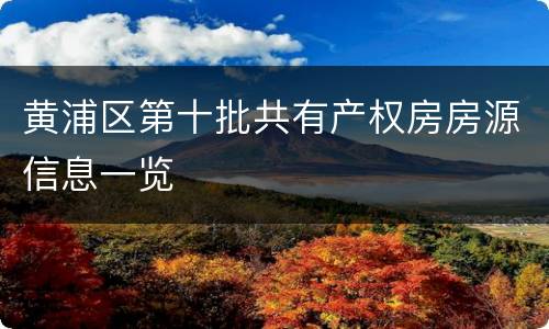 黄浦区第十批共有产权房房源信息一览