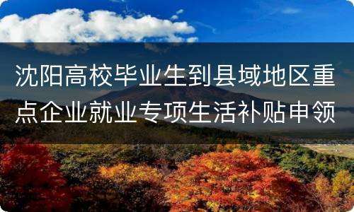 沈阳高校毕业生到县域地区重点企业就业专项生活补贴申领咨询电话