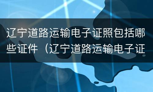 辽宁道路运输电子证照包括哪些证件（辽宁道路运输电子证照包括哪些证件类型）