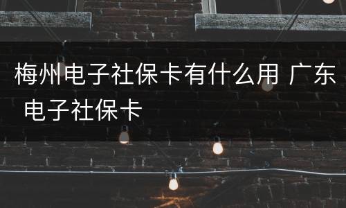梅州电子社保卡有什么用 广东 电子社保卡