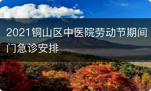 2021铜山区中医院劳动节期间门急诊安排