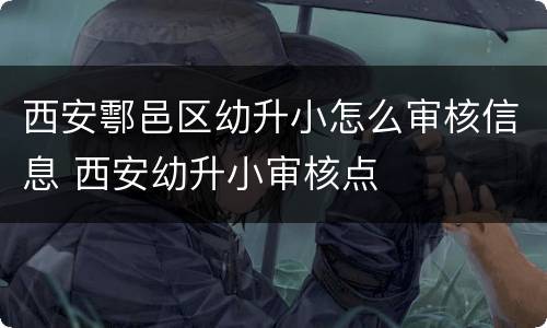 西安鄠邑区幼升小怎么审核信息 西安幼升小审核点