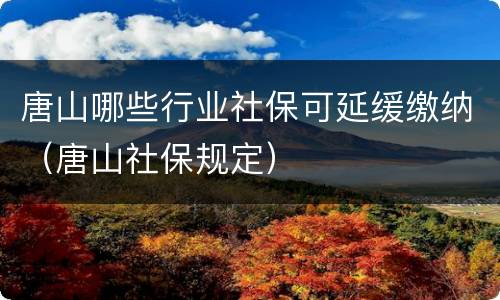 唐山哪些行业社保可延缓缴纳（唐山社保规定）
