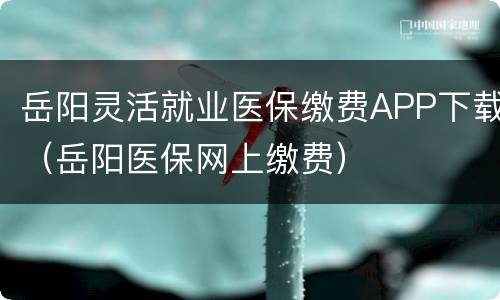 岳阳灵活就业医保缴费APP下载（岳阳医保网上缴费）
