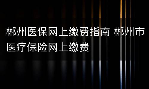 郴州医保网上缴费指南 郴州市医疗保险网上缴费