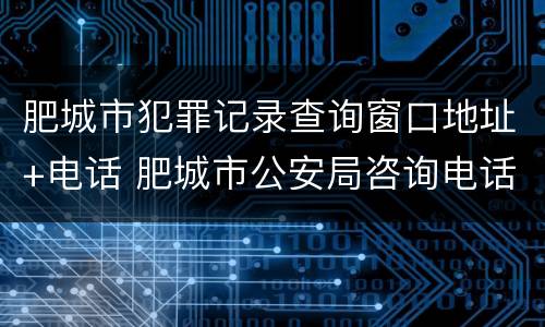 肥城市犯罪记录查询窗口地址+电话 肥城市公安局咨询电话