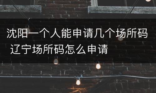 沈阳一个人能申请几个场所码 辽宁场所码怎么申请