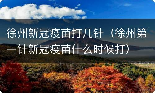 徐州新冠疫苗打几针（徐州第一针新冠疫苗什么时候打）