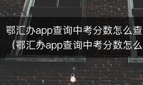 鄂汇办app查询中考分数怎么查（鄂汇办app查询中考分数怎么查不到）
