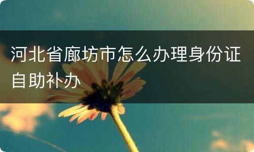 河北省廊坊市怎么办理身份证自助补办