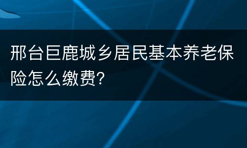 邢台巨鹿城乡居民基本养老保险怎么缴费？