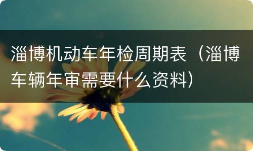 淄博机动车年检周期表（淄博车辆年审需要什么资料）