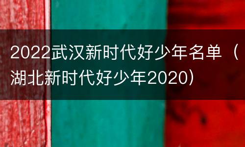 2022武汉新时代好少年名单（湖北新时代好少年2020）