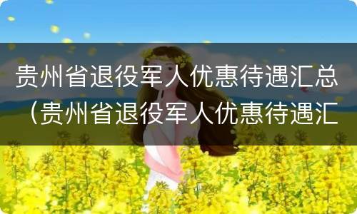 贵州省退役军人优惠待遇汇总（贵州省退役军人优惠待遇汇总查询）