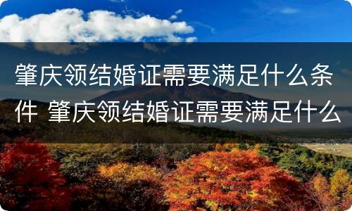 肇庆领结婚证需要满足什么条件 肇庆领结婚证需要满足什么条件才能领