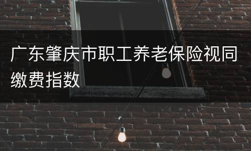 广东肇庆市职工养老保险视同缴费指数