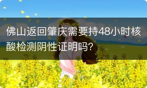 佛山返回肇庆需要持48小时核酸检测阴性证明吗？