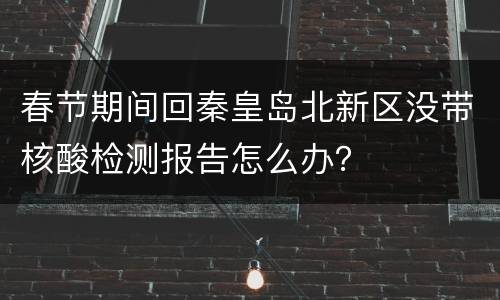 春节期间回秦皇岛北新区没带核酸检测报告怎么办？