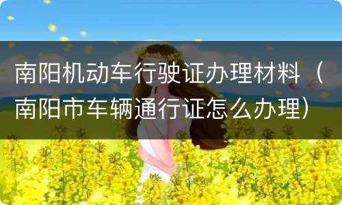 南阳机动车行驶证办理材料（南阳市车辆通行证怎么办理）