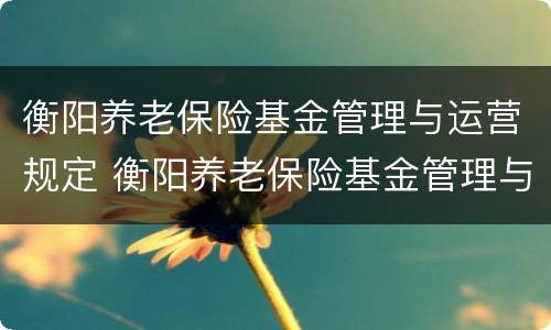 衡阳养老保险基金管理与运营规定 衡阳养老保险基金管理与运营规定