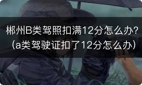 郴州B类驾照扣满12分怎么办？（a类驾驶证扣了12分怎么办）