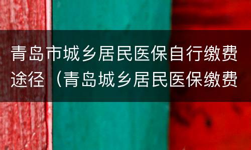 青岛市城乡居民医保自行缴费途径（青岛城乡居民医保缴费方法）