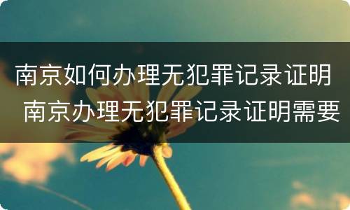 南京如何办理无犯罪记录证明 南京办理无犯罪记录证明需要什么材料