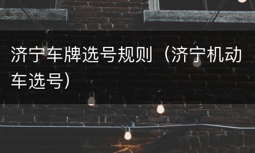 济宁车牌选号规则（济宁机动车选号）