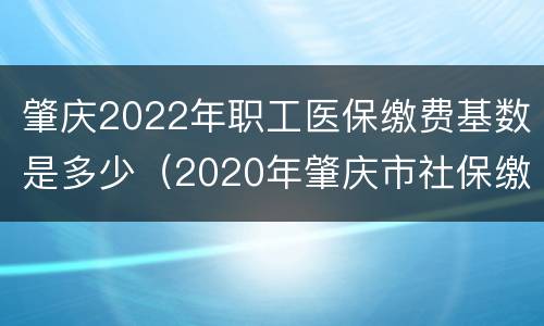 肇庆2022年职工医保缴费基数是多少（2020年肇庆市社保缴费标准）
