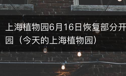 上海植物园6月16日恢复部分开园（今天的上海植物园）