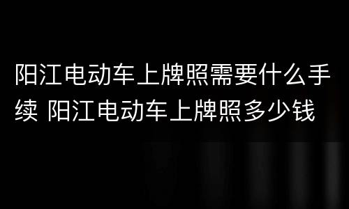阳江电动车上牌照需要什么手续 阳江电动车上牌照多少钱