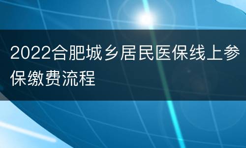 2022合肥城乡居民医保线上参保缴费流程