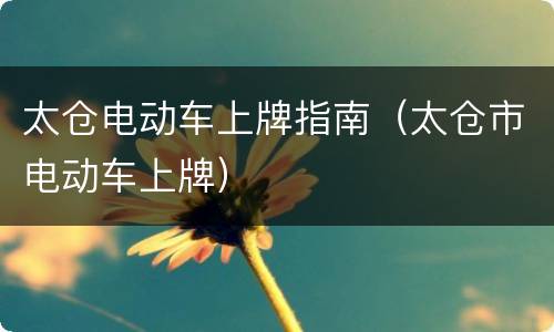 太仓电动车上牌指南（太仓市电动车上牌）