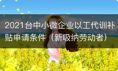 2021台中小微企业以工代训补贴申请条件（新吸纳劳动者）