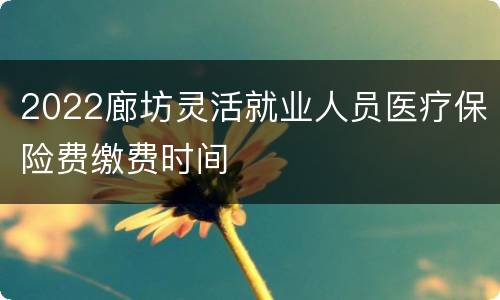 2022廊坊灵活就业人员医疗保险费缴费时间