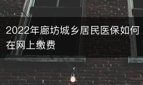 2022年廊坊城乡居民医保如何在网上缴费
