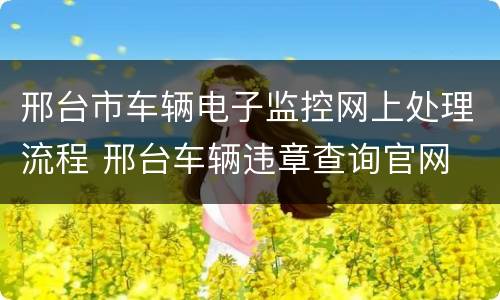 邢台市车辆电子监控网上处理流程 邢台车辆违章查询官网