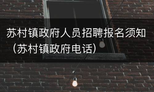 苏村镇政府人员招聘报名须知（苏村镇政府电话）